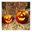 Halloween Lunch Napkins - Carved Pumpkins - 20 ct.