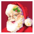 Christmas Lunch Napkins - Santa Claus - 20 ct.