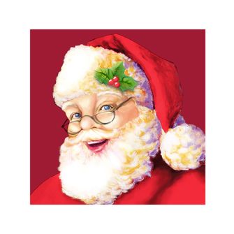 Christmas Cocktail Napkins - Santa Claus - 20 ct.