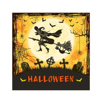 Halloween Cocktail Napkins - Flying Witch - 20 ct.